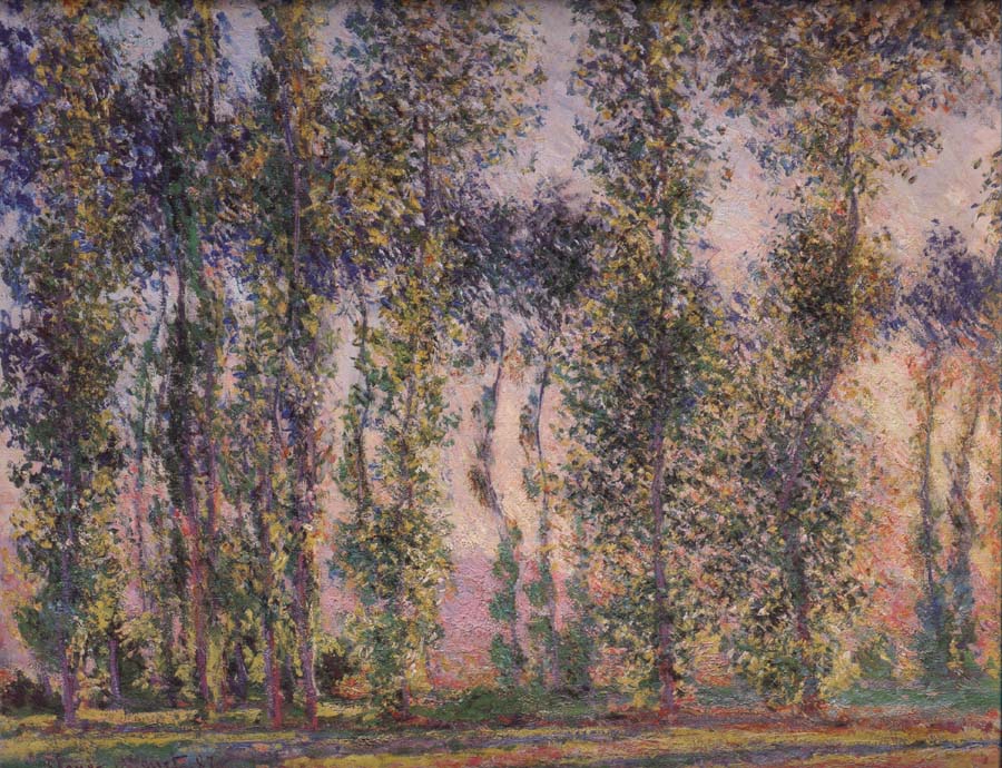 Poplars at Giverny